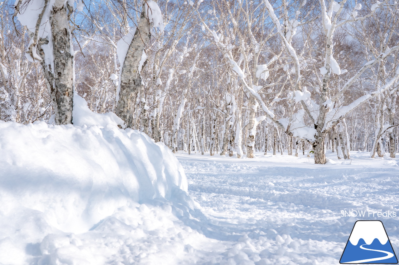 マウントレースイ｜お正月の記録的な大雪でゲレンデのコンディションはバッチリ！凸凹の未圧雪エリアを楽しみましょう♪